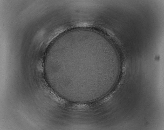 X0000114641209200911101251