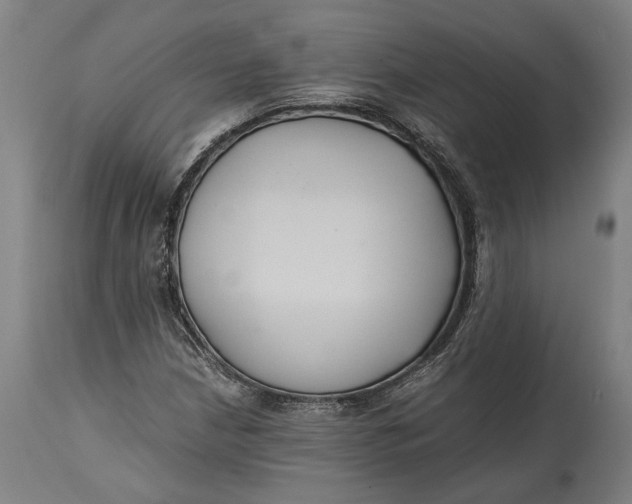 X0000114641210200911101251