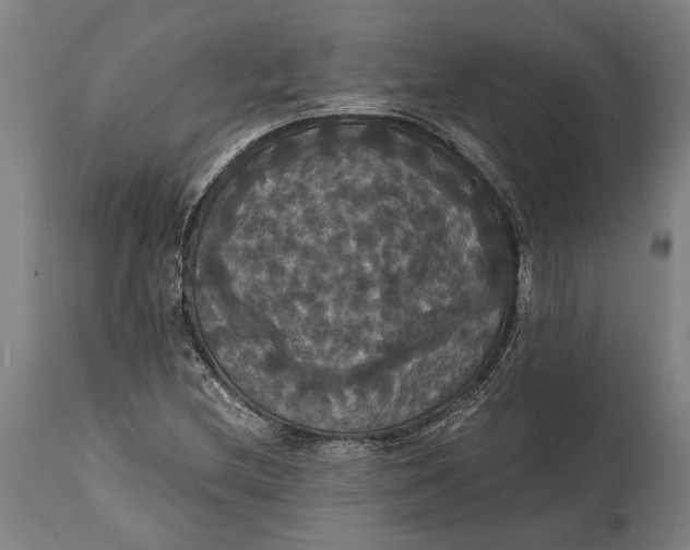 X0000114641212200911101251