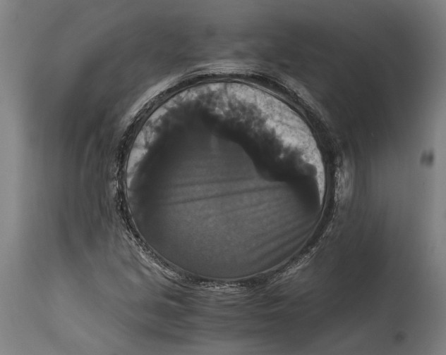 X0000114641213200911101251
