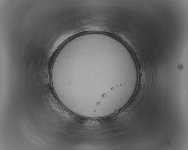 X0000114641215200911101251