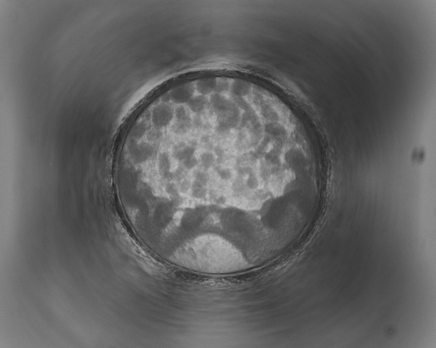 X0000114641216200911101251