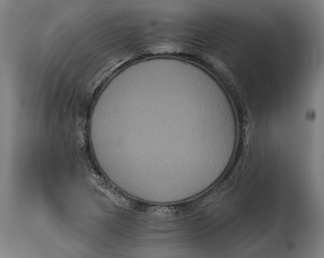 X0000114641217200911101251
