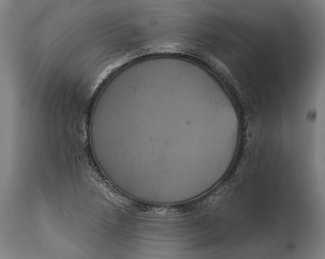 X0000114641218200911101251