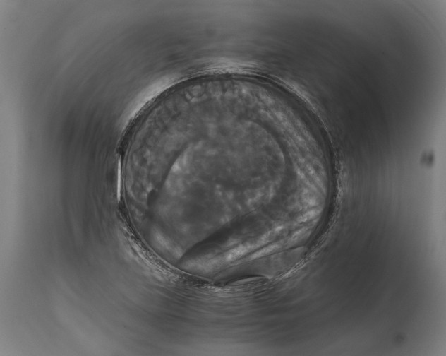 X0000114641219200911101251