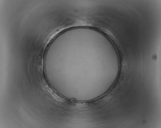 X0000114641220200911101251
