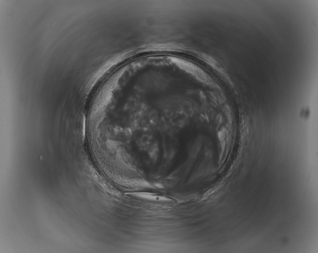 X0000114641221200911101251