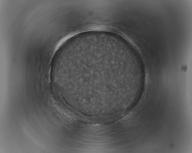 X0000114641222200911101251