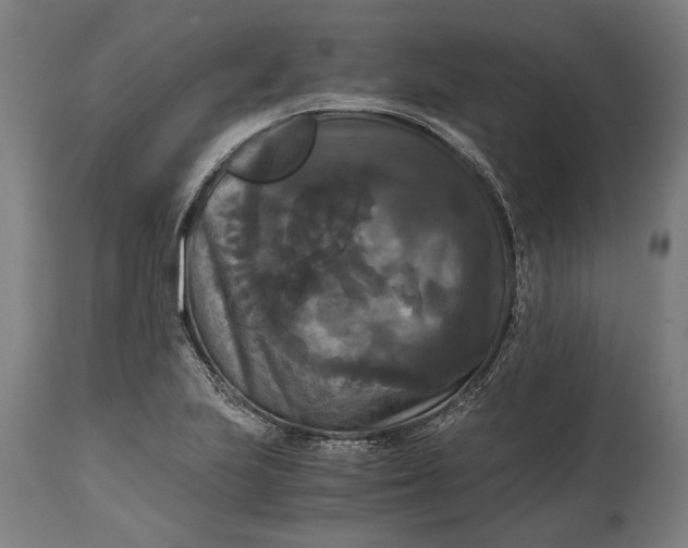 X0000114641223200911101251