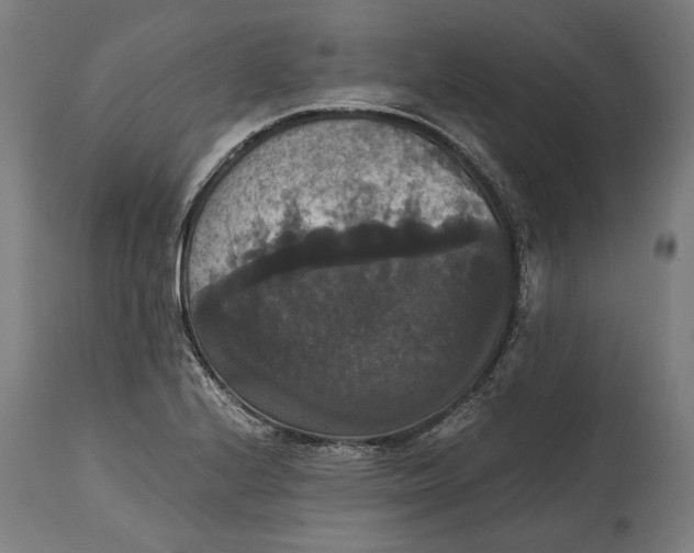 X0000114641224200911101251