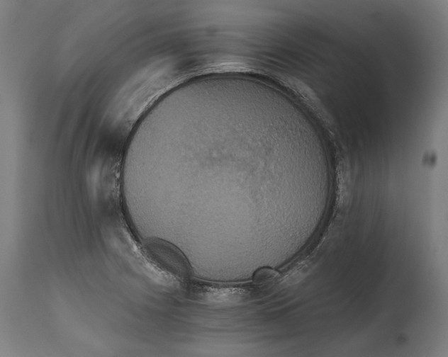 X0000114641225200911101251