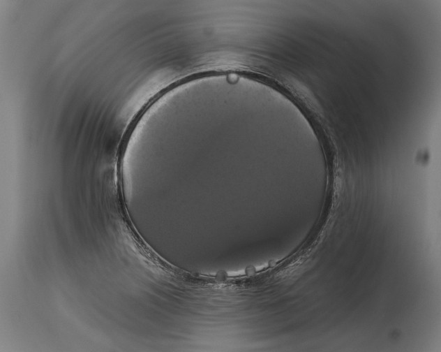 X0000114641226200911101251