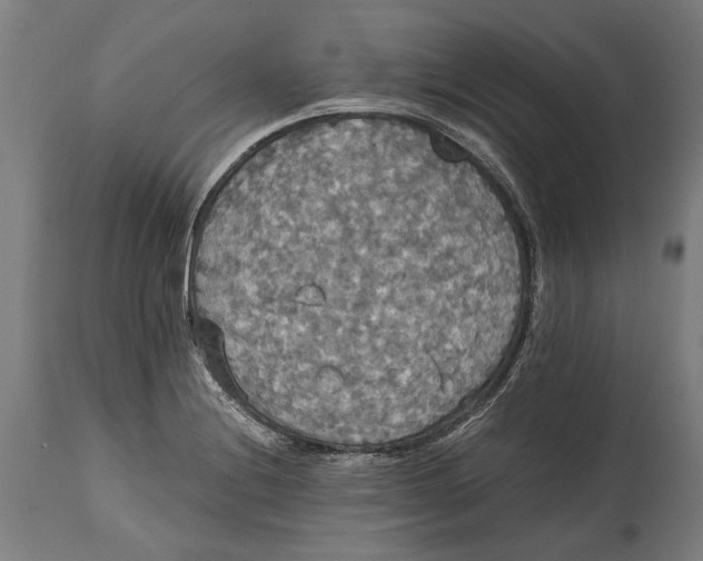 X0000114641228200911101251