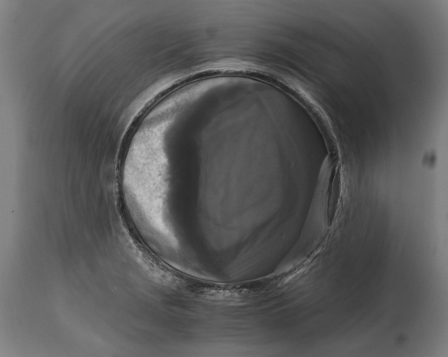 X0000114641229200911101251