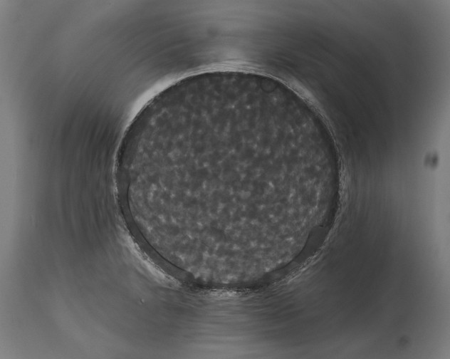 X0000114641230200911101251