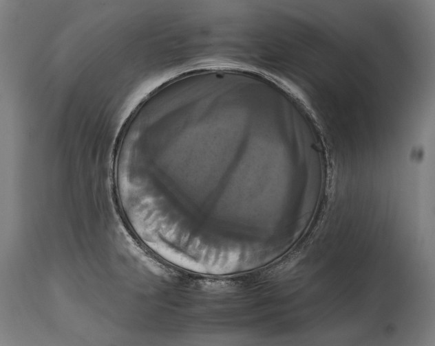 X0000114641231200911101251