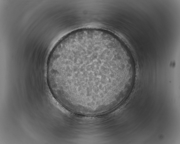 X0000114641232200911101251