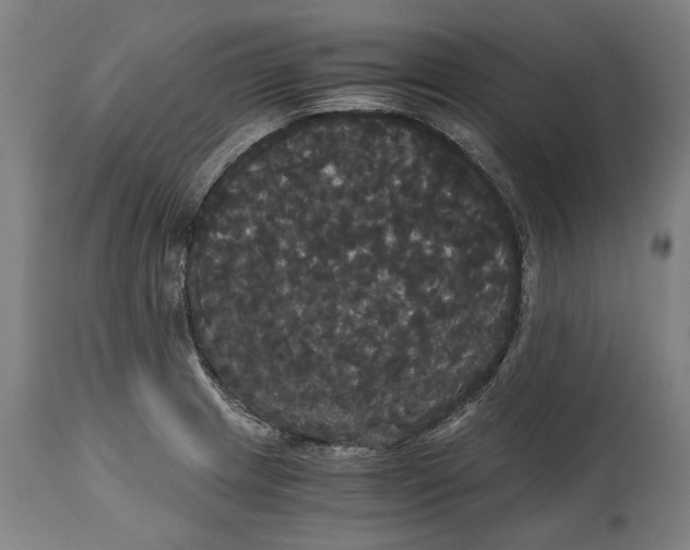 X0000114641233200911101251