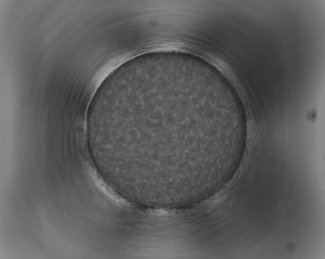 X0000114641234200911101251