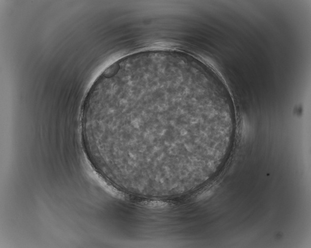X0000114641235200911101251