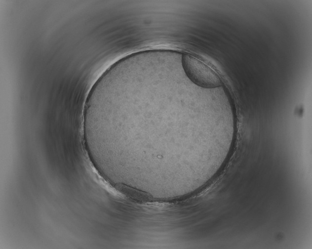 X0000114641236200911101251