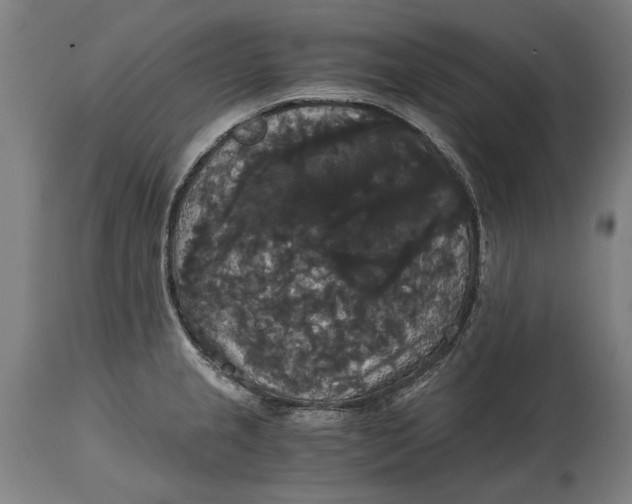 X0000114641237200911101251