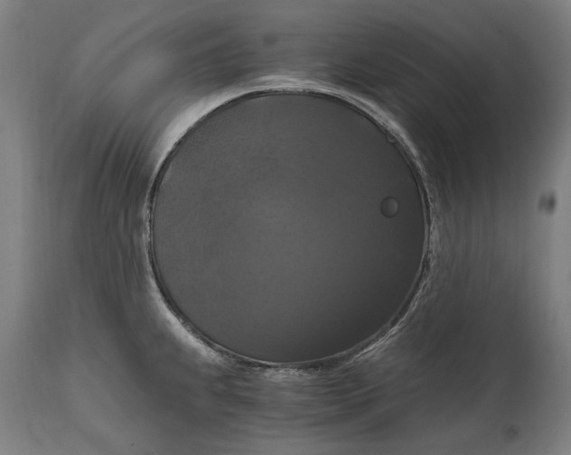 X0000114641239200911101251