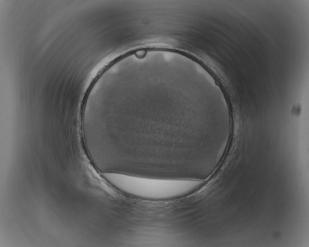 X0000114641240200911101251