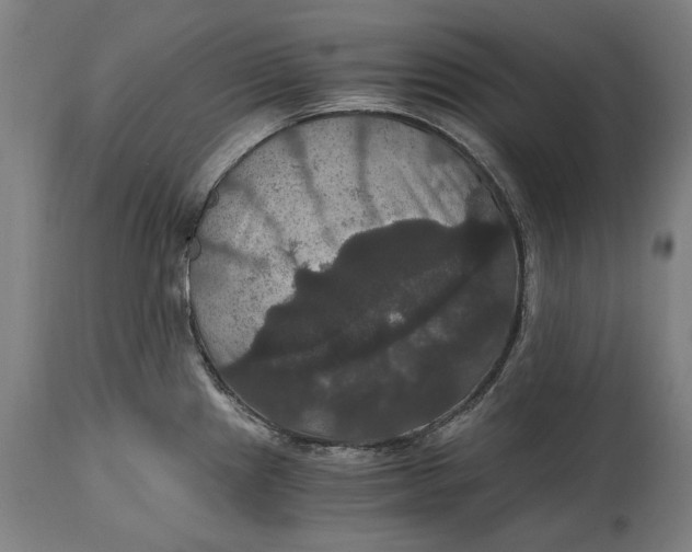 X0000114641241200911101251