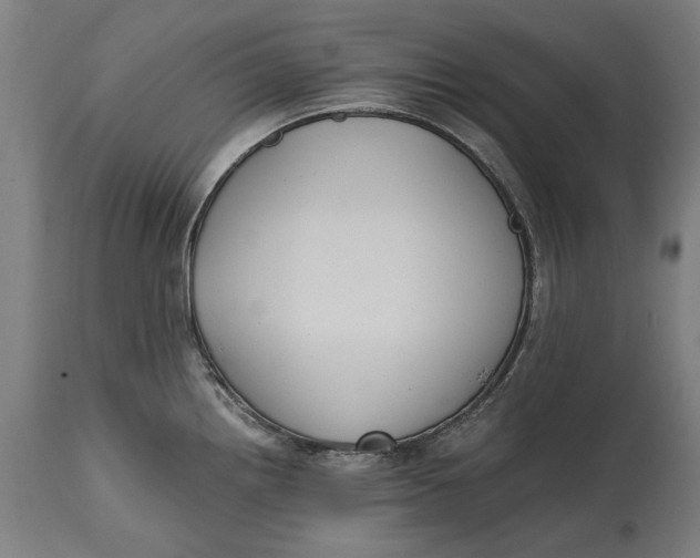 X0000114641242200911101251