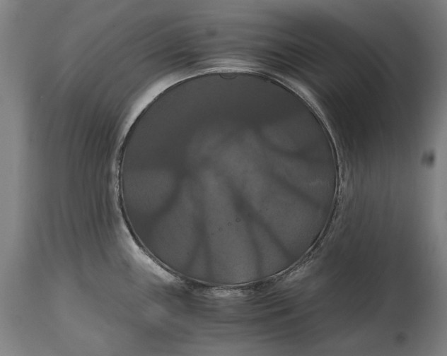 X0000114641243200911101251