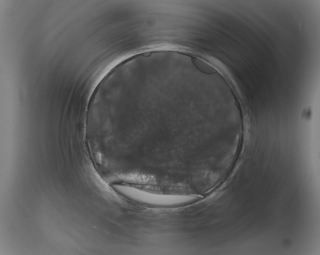 X0000114641244200911101251