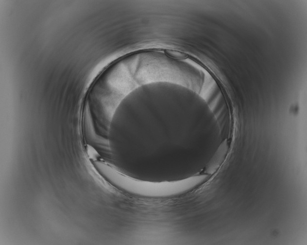 X0000114641246200911101251