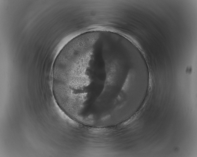 X0000114641247200911101251