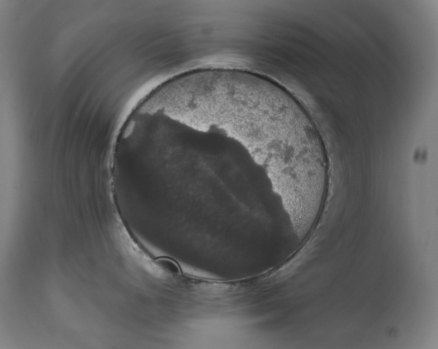 X0000114641248200911101251