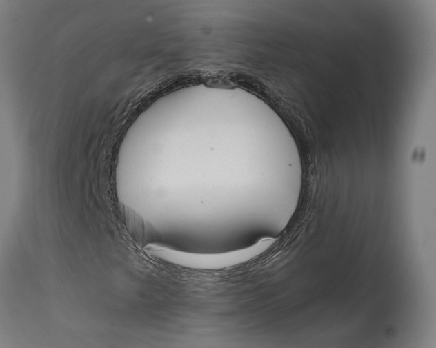 X0000114641249200911101250