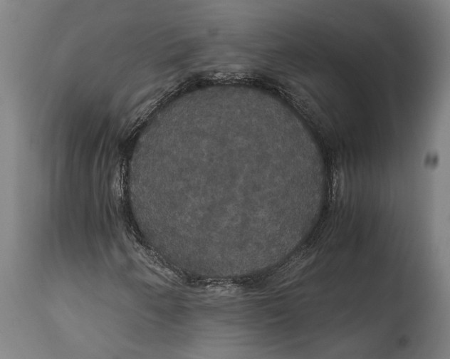 X0000114641250200911101250