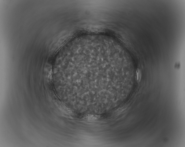 X0000114641251200911101250
