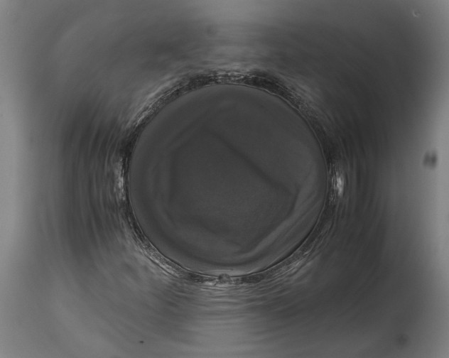 X0000114641252200911101250