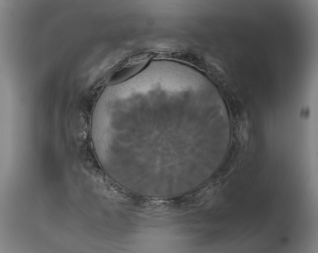 X0000114641253200911101250