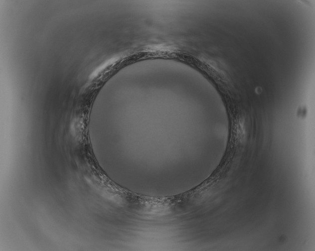 X0000114641254200911101250