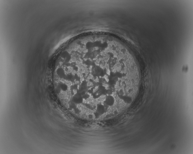 X0000114641255200911101250