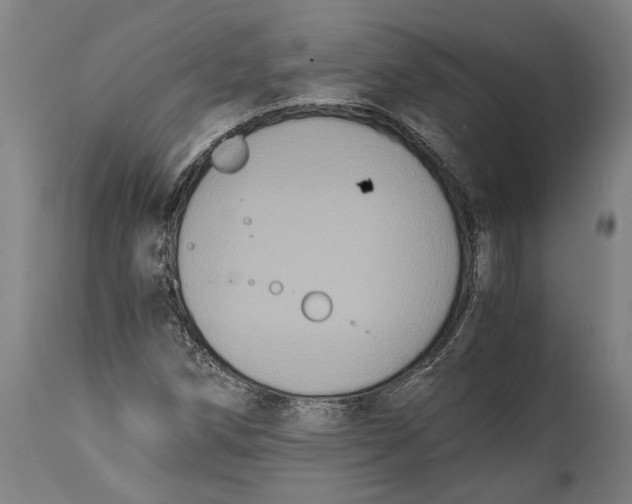 X0000114641258200911101250