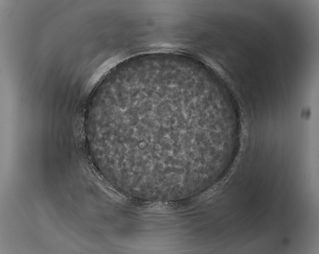 X0000114641259200911101250