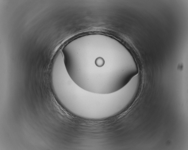 X0000114641260200911101250