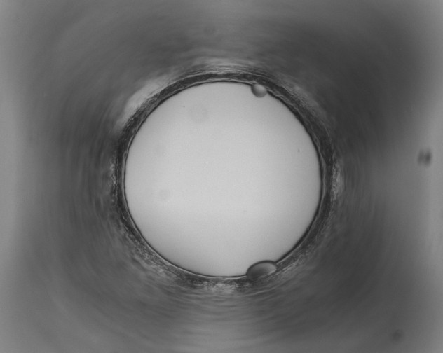 X0000114641261200911101250