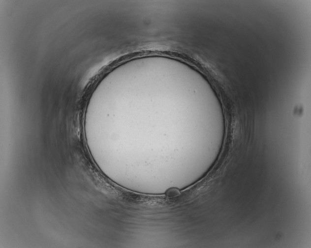 X0000114641262200911101250