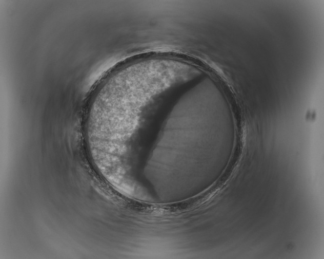 X0000114641263200911101250