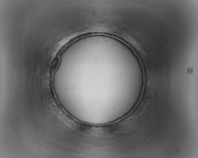 X0000114641264200911101250