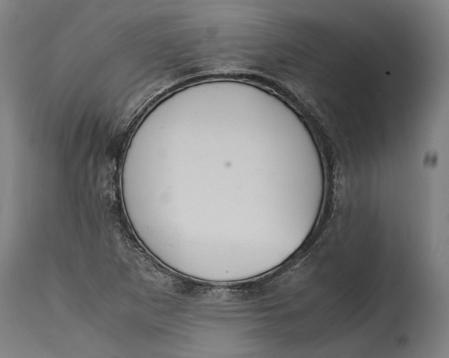 X0000114641265200911101250